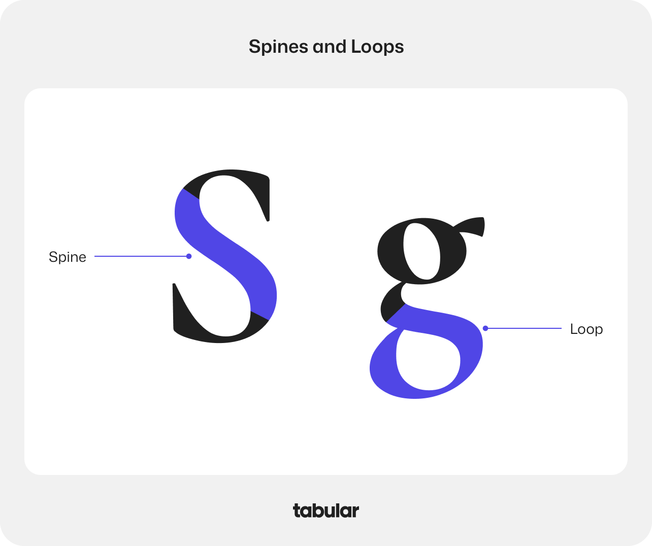 Typography concepts "spine" and "loop".